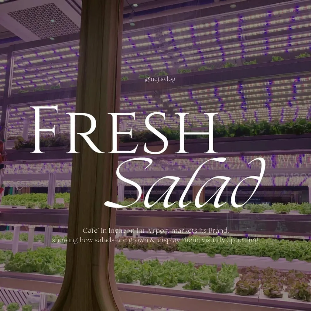  Navigating Incheon International Airport: Travel Tips & A Hidden Café